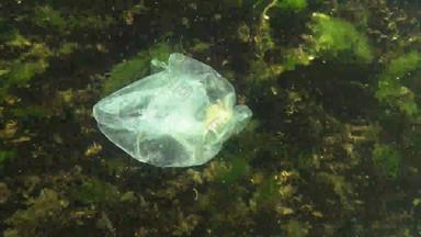 垃圾水聚乙烯袋杀死海洋动物蟹这一点生态自然塑料黑色的海乌克兰
